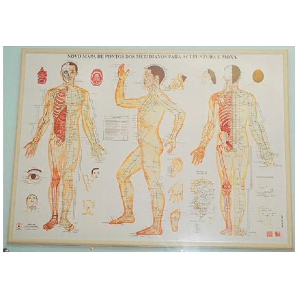 Mapa Acupuntura Sistêmico Coreano