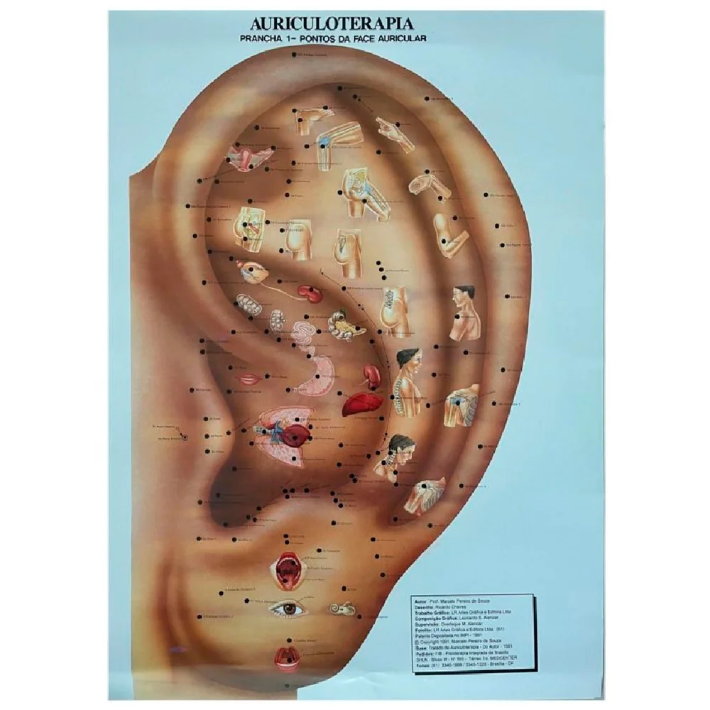 Mapa Auricular Nacional 2pçs Prof. Marcelo Sousa